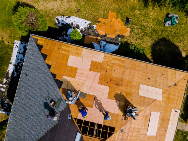 Roof Waterproofing Services in Terrell Hills, TX