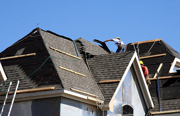 Best Gutter Installation and Roofing  in Terrell Hills, TX