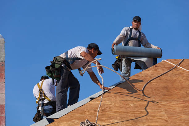 Best Storm Damage Roof Repair  in Terrell Hills, TX