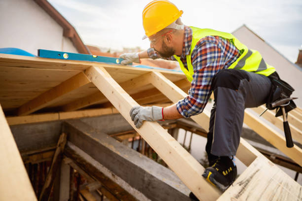 Best Roof Maintenance Services  in Terrell Hills, TX