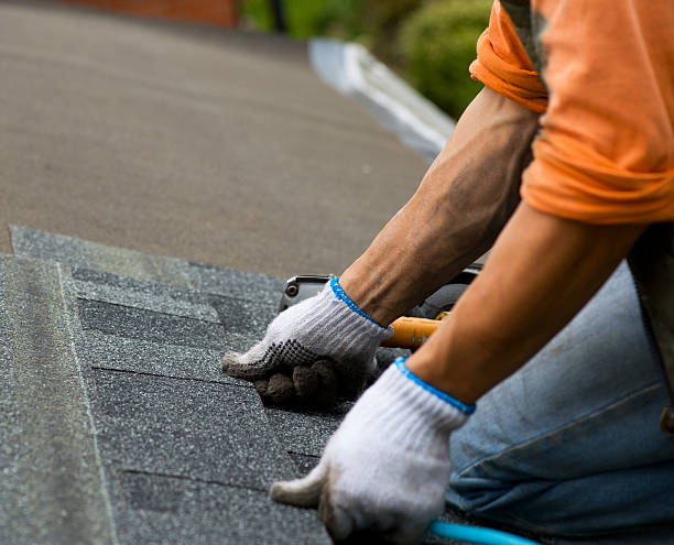 Best Flat Roof Repair Services  in Terrell Hills, TX